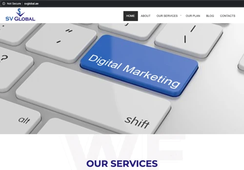 Website - Design & Development SV Global