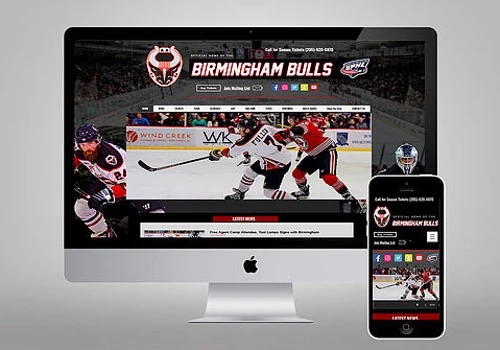 Birmingham Bulls Web Design