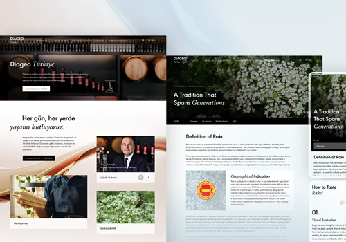 Diageo Türkiye Website Renovation