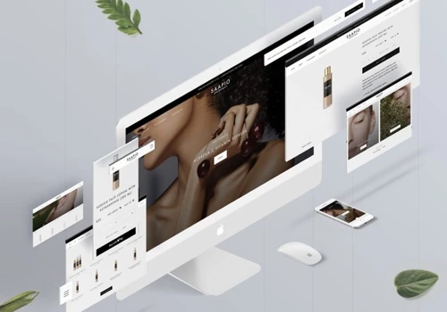 Saapio Shopify store development and support