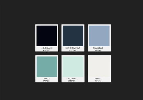 Color Palette