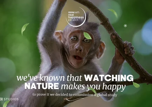BBC Website Creation