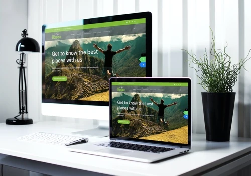 Website Development and SEO