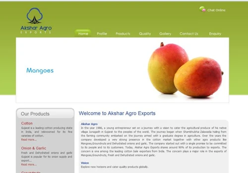 Wordpress Development, Logo Design & Digital marketing
