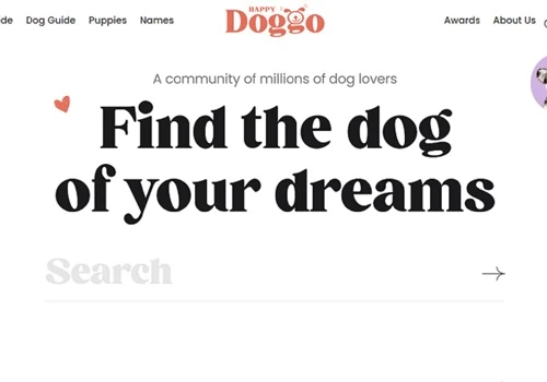 Implement Figma design into WP website