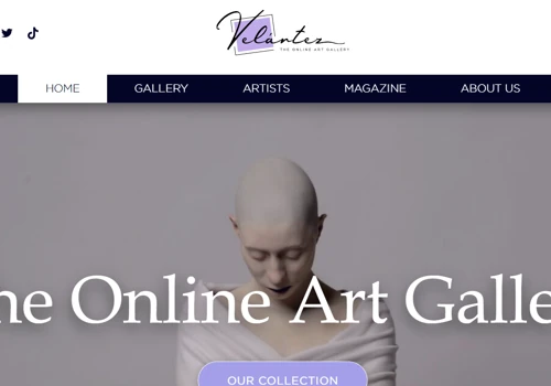 Complete WP website design and development
