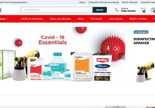 MaxVasi eCommerce Development