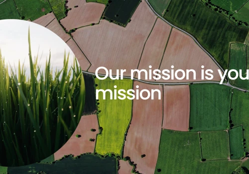 IT Startup, UK
