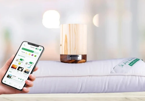 A Sleep-Enhancing System with a Wooden Pillow