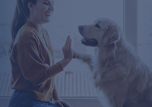 Rollover Pet Food + EDI