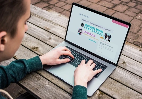 WordPress Customizations and Maintenance