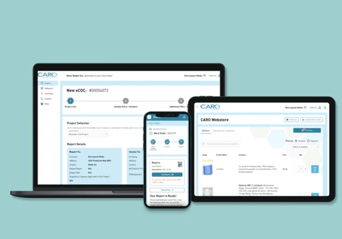 eCommerce and Staff Portal