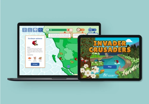 Youth Educational Web Game