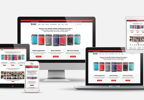 Ecommerce website design and development