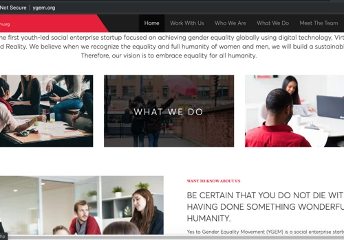 Yes to Gender Equality Movement (YGEM)