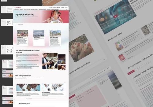 Adisseo: international website | STRAPI & Next.js