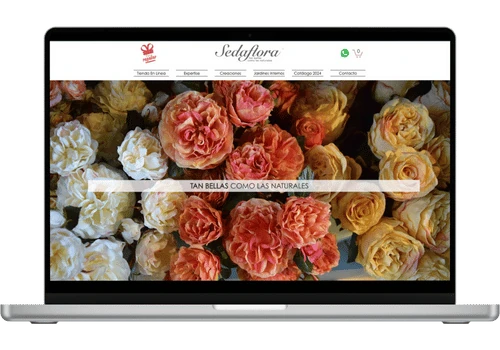 E-commerce Enhancement and Digital Strategy