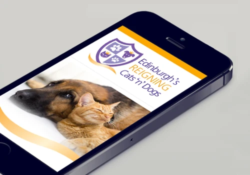 Custom Logo and Website for Pet business