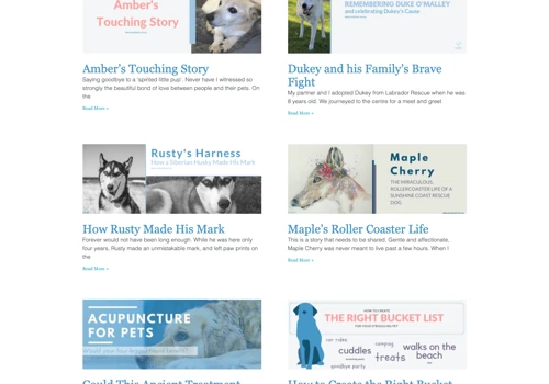 SunSet Vets (Palliative Care Veterinarians)
