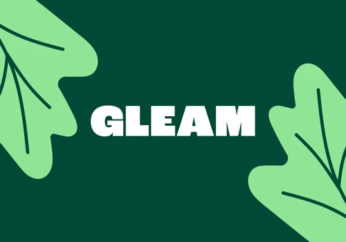 Gleam App Design & Identity