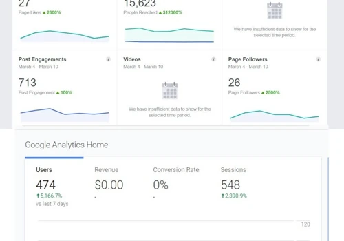 Facebook Ad/Ads Manager