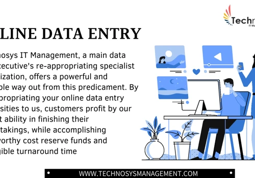 Online Data Entry