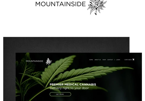 Concept of UI/UX design + Logo