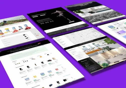 Theory Wellness Website Build