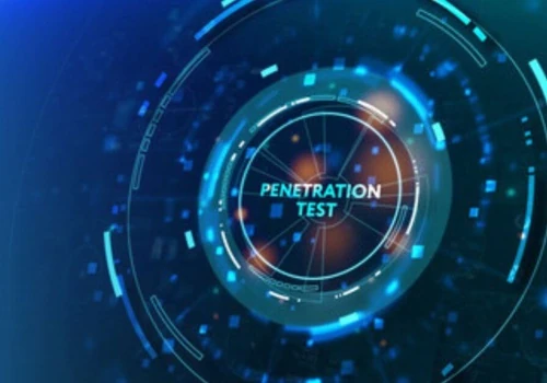 Largest Penetration Testing Case Study