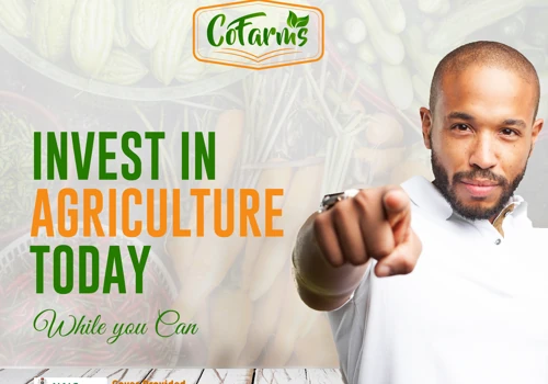 CO-Farms Branding
