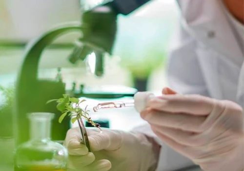 Agrolaboratory "Irlen"