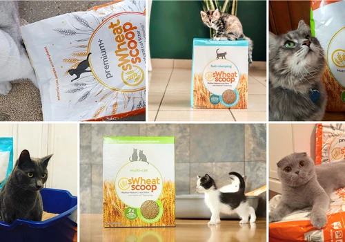 sWheat Scoop Pet Packaging Design