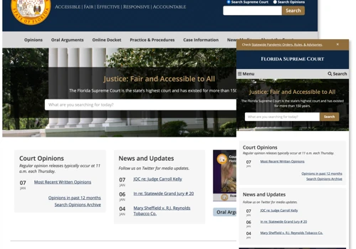 Florida Courts System