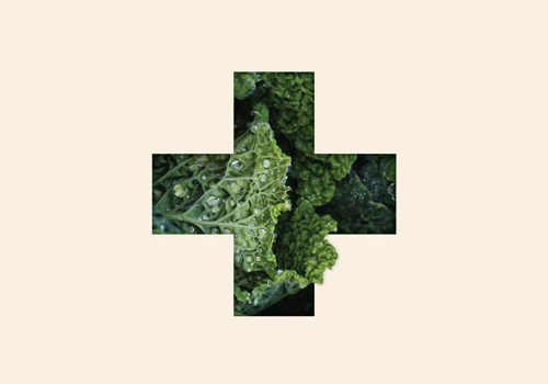 Vegetable + Butcher — Food for better.