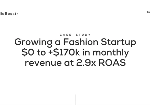 Fashion Startup $0 to +$170k in monthly revenue at 2.9x ROAS