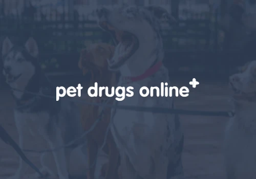 Fetching 86% revenue increase for Pet Drugs Online
