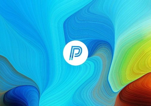 PeerNexx Branding