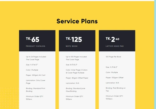 SEO Service and Web Development