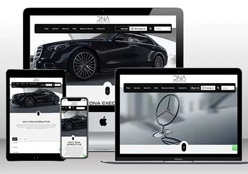Website Launch: DNA Executive Limousine