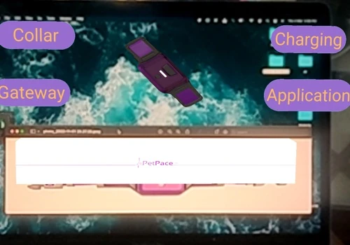 3D content for Augmented Reality Experience