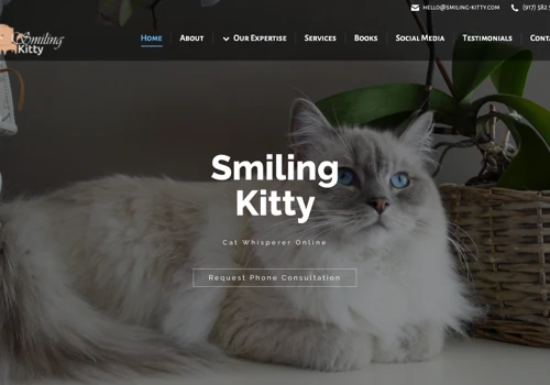 Web Design & Development for Smiling Kitty