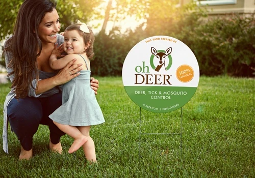 ohDEER | rebranding