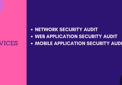 Our Cyber Audit