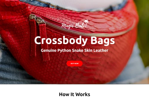 An online store for Python skeen hand-made leather bags