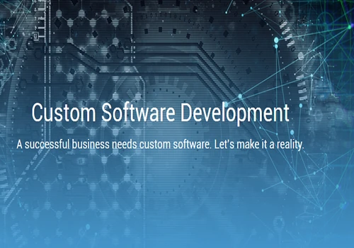 custom software development