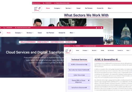 Website development - CBS