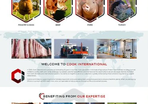 AnoLogix Website Design - Cook International