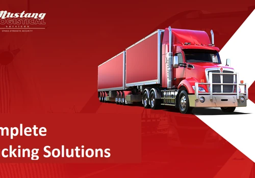 Mustang-Website Development & Design, SEO & SMM