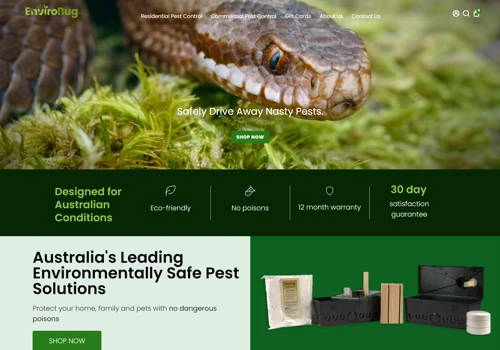 Shopify Website Development and Maintenance