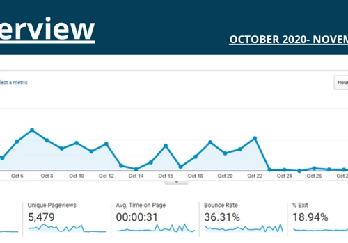 Search Engine Optimization Success Story
